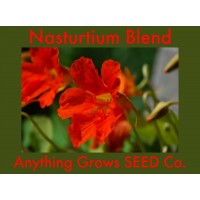 Nasturtium -  Nasturtium Blend - Organic